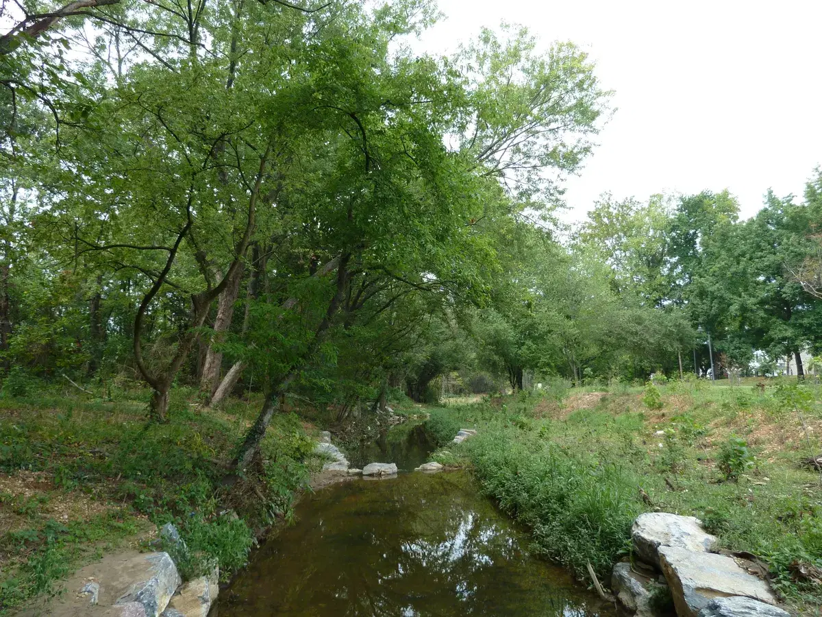 The restored Watts Branch stream with rock-lined banks and green trees in Marvin Gaye Park