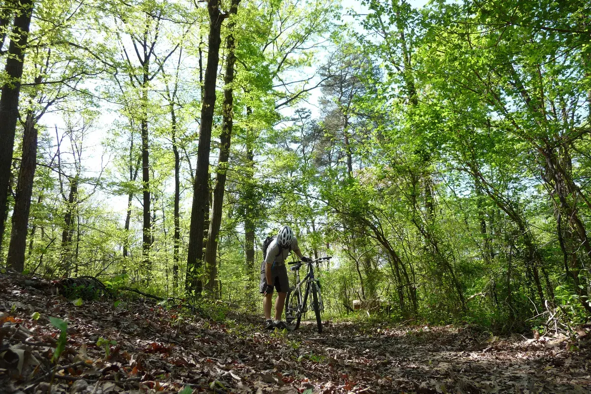 A dirt trail through green spring woods on the Fort Circle Parks trail