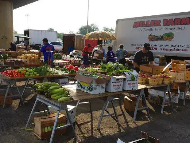 Produce stands under a canopy at the RFK Farmers and Flea Market, a farm truck behind