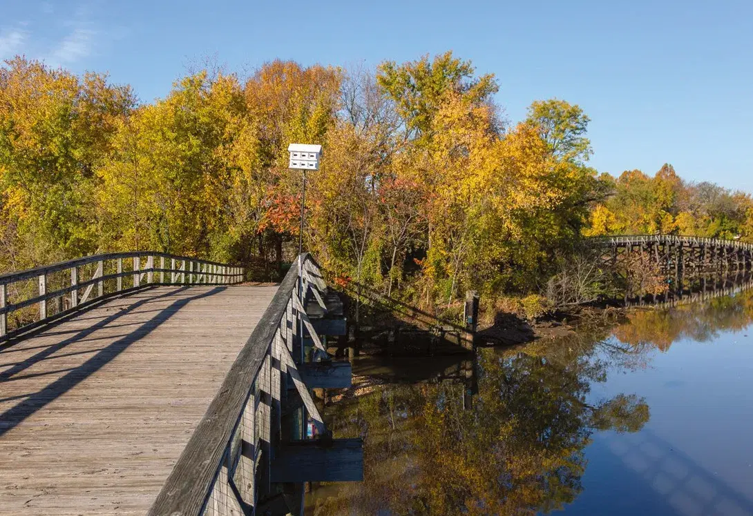 A wooden footbridge crossing a quiet channel of the Anacostia lined with autumn trees