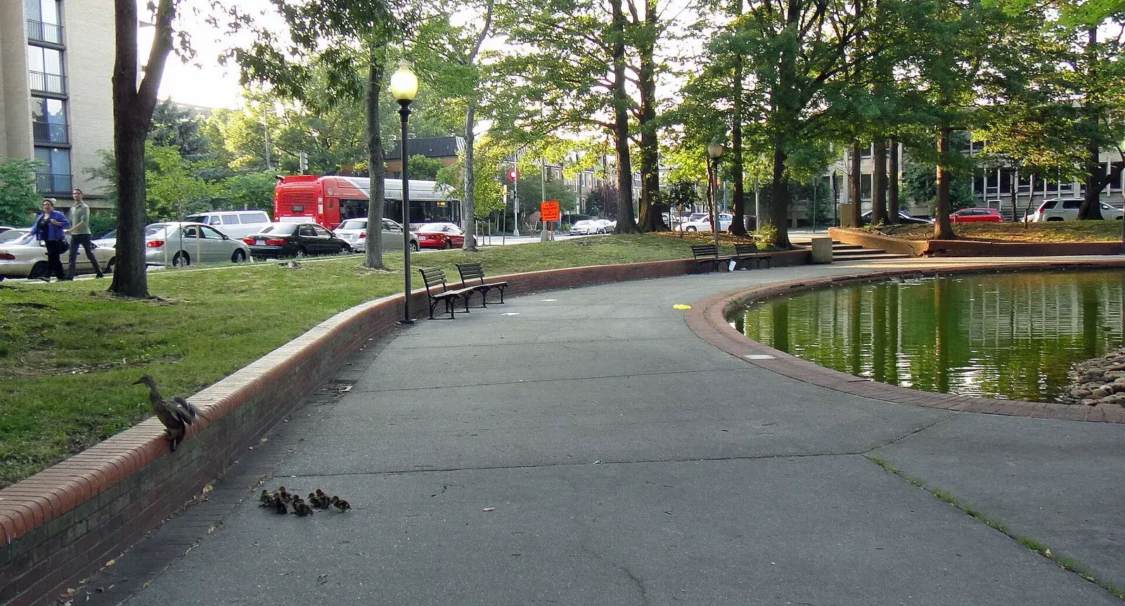 The brick-edged path and pond at the Southwest Duck Pond, with I Street behind