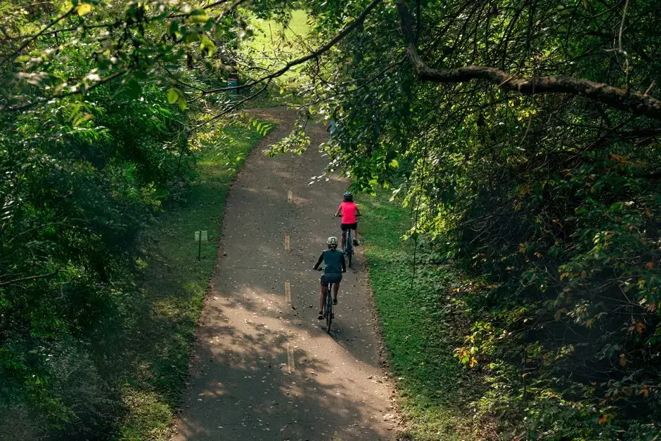 Two cyclists on a shaded paved trail through lush green trees