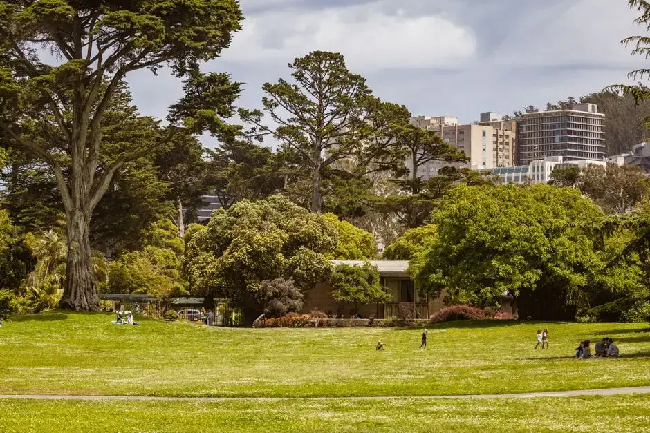 Wide green park lawn with picnickers, mature trees, city buildings behind