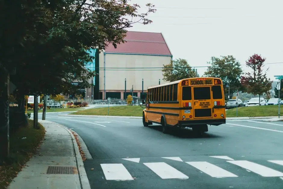 Yellow school bus from behind on a tree-lined street in autumn, no children visible