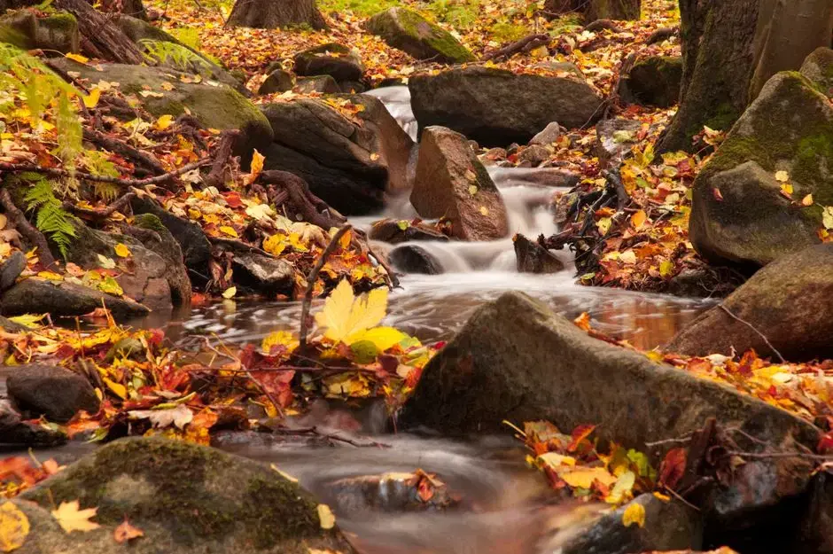 Small rocky cascade with mossy boulders and fall foliage — generic forest-stream imagery plausibly consistent with Rock Creek's boulder sections; location not identifiable