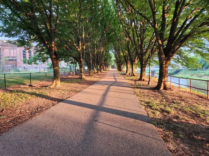 Sunlit tree-lined paved riverside trail; location-anonymous US riverwalk look, matches the flat tree-lined Anacostia Riverwalk character