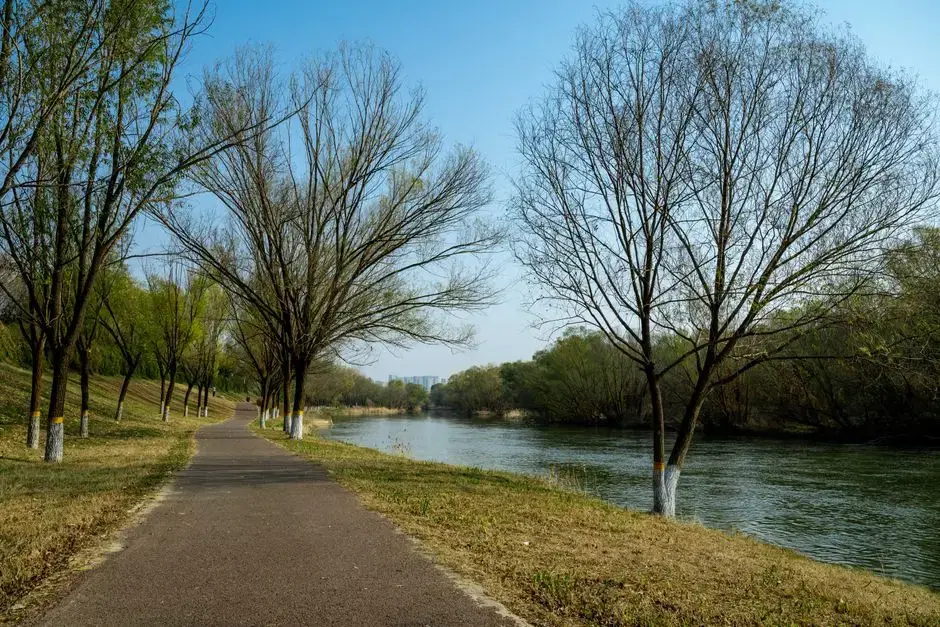 Paved trail beside calm river, early spring - matches 'a trail that rides all the way to the Tidal Basin'; location-anonymous but bare-tree season makes it the weakest keeper; drop if a better Anacostia shot surfaces