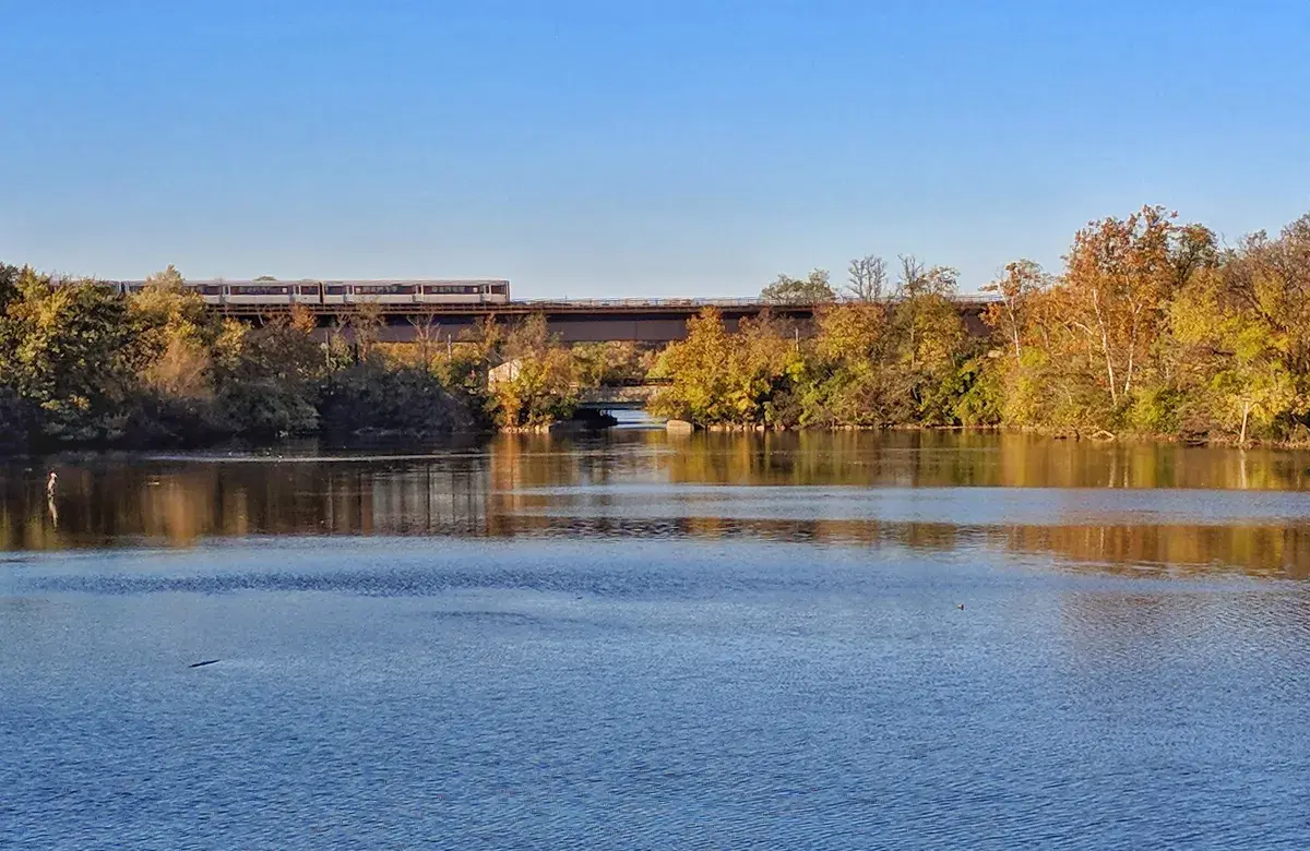 An Orange Line train crossing the Metro bridge over Kingman Lake among autumn trees
