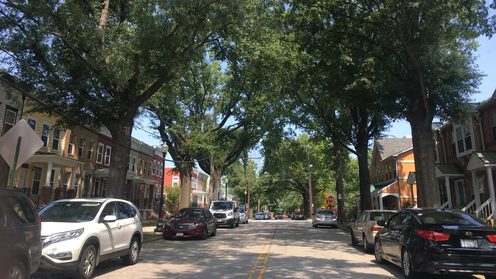 Porched townhouses under tall street trees on Barnes Street NE in Mayfair