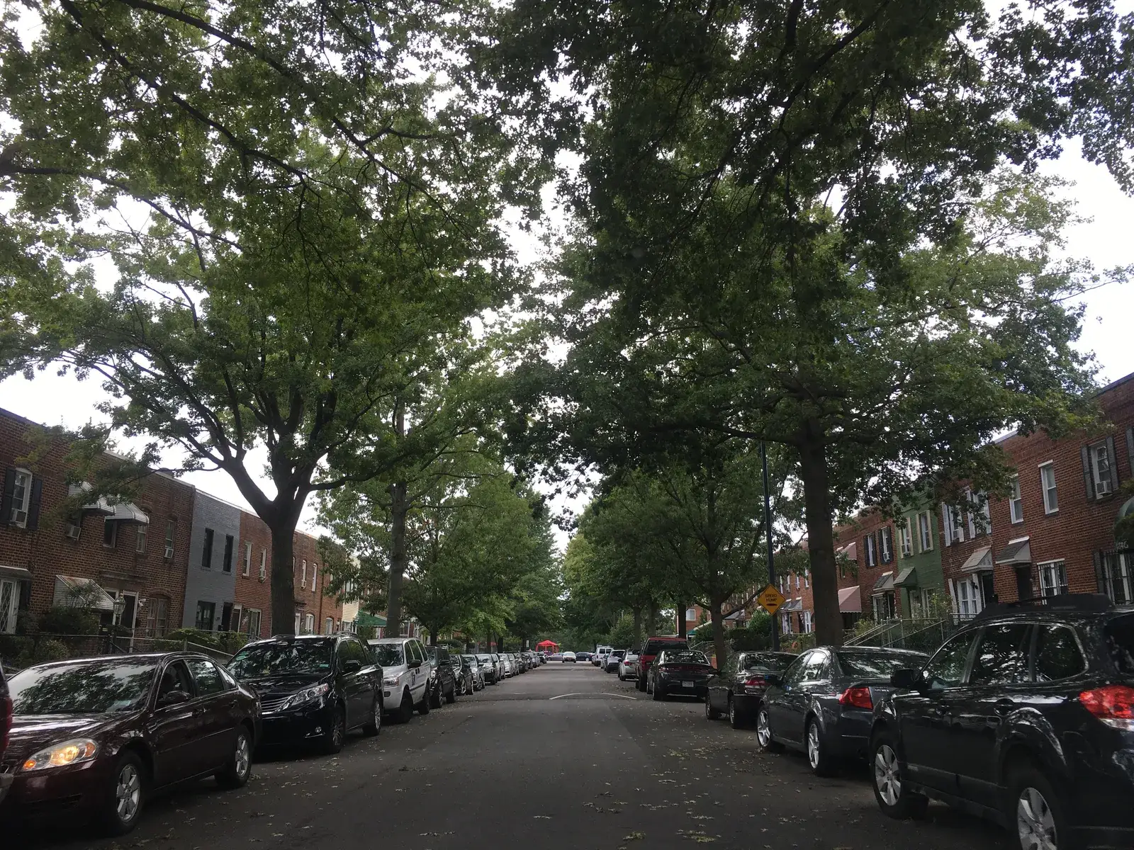 Brick rowhouses under a full canopy of street trees on 34th Street NE in River Terrace